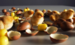 Food Design